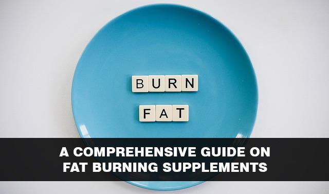 A comprehensive guide on fat burning supplements